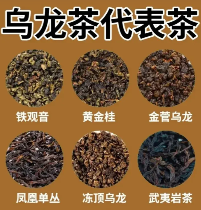 烏龍茶代表.png 烏龍茶代表.png