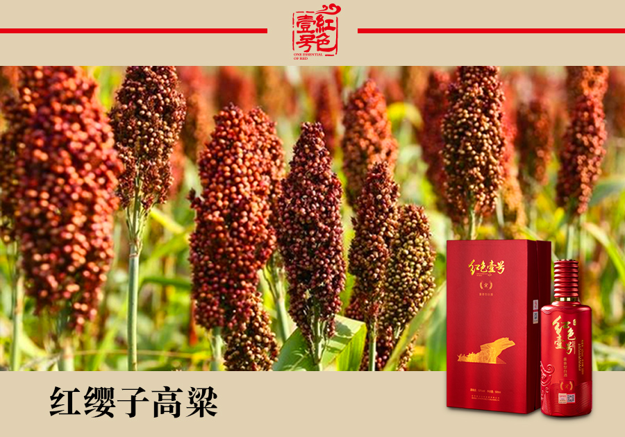 紅纓子高粱10-7.jpg 紅纓子高粱10-7.jpg
