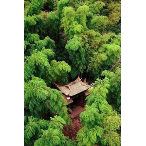 有一種叫云南的生活：勐海茶山游，景美茶更香