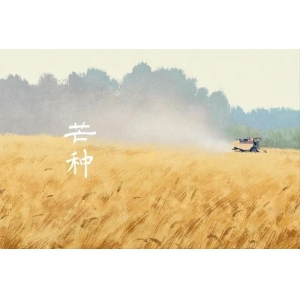 芒種將至，俗語“芒種不補(bǔ)，夏季受苦”，芒種怎么補(bǔ)？吃什么更受