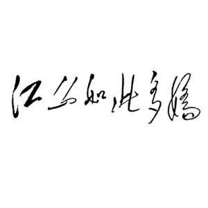 山東推進(jìn)黃河三角洲鹽堿地綜合開(kāi)發(fā)利用—— 在鹽堿地上種下新希