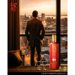 成年人的酒杯，醉眼看世界，醒時再戰(zhàn)人生